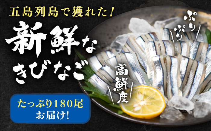 【4回定期便】五島産 刺身用きびなご 20尾×9P 五島市/鯛福丸水産 [PDP016]