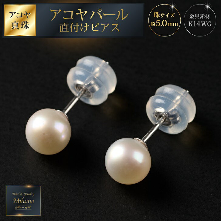 【ふるさと納税】艶々ベビー！5mmアコヤ真珠直付けピアス：B425-007