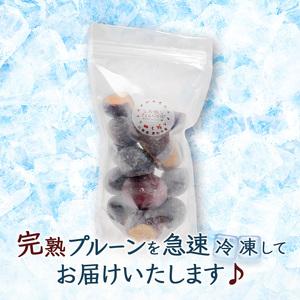 【訳アリ】500g 訳アリ 冷凍 プルーン 果物
