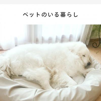 ふるさと納税 岡崎市 【ハナロロ】ペットベット スタイリスレザーカバー LL(グレージュネイビー) |  | 01