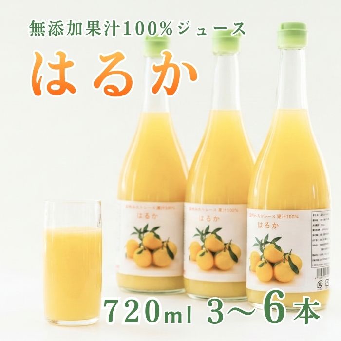 【ふるさと納税】 高評価 ★4.96 はるか ジュース 720ml 3本 6本 無添加 果汁 100% ( ふるさと納税 ジュース みかん 柑橘 はるか 愛媛県 愛南町 )みかん職人武田屋