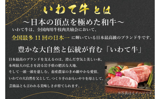 特製 ローストビーフ 600g 黒毛和牛 いわて牛 ブランド牛 国産 和牛 牛肉 肉 ローストビーフ セット 日本一 全国最多 冷凍 良質の脂 上質な牛肉 モモ肉 稲ワラ 循環型農業 米の産地 岩手 