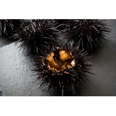 ふるさと納税 釜石市 【期間限定】【5月〜7月発送】瓶うに(150g) |  | 03