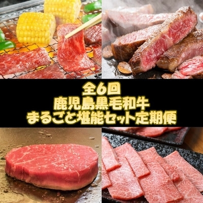 
                  ＜発送月固定定期便＞鹿児島黒毛和牛まるごと堪能セット定期便全6回【4088702】
                
