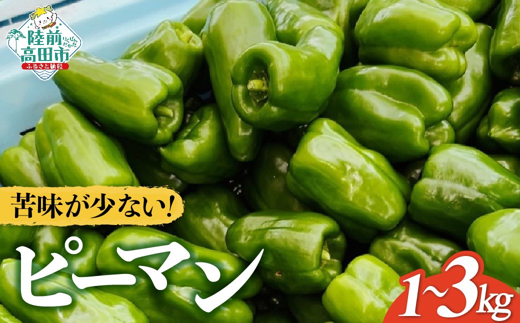 
            苦みの少ない獲れたて新鮮ピーマン 内容量が選べる 約1kg～3kg 【 産地直送 料理 野菜 岩手県 陸前高田市 Farm Koganeyama 】
          