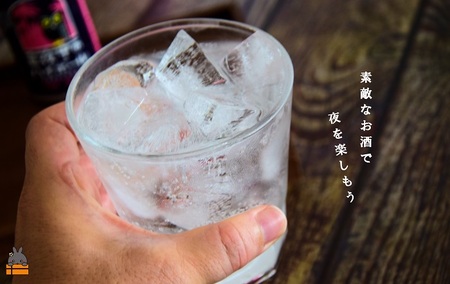 黒糖焼酎×炭酸！真夜中のハイボール（350ml×24本） ( 黒糖焼酎 お酒 酒 焼酎 炭酸割り ハイボール 炭酸 徳之島 奄美 鹿児島 アルコール5% 晩酌 タートルベイ醸造 )