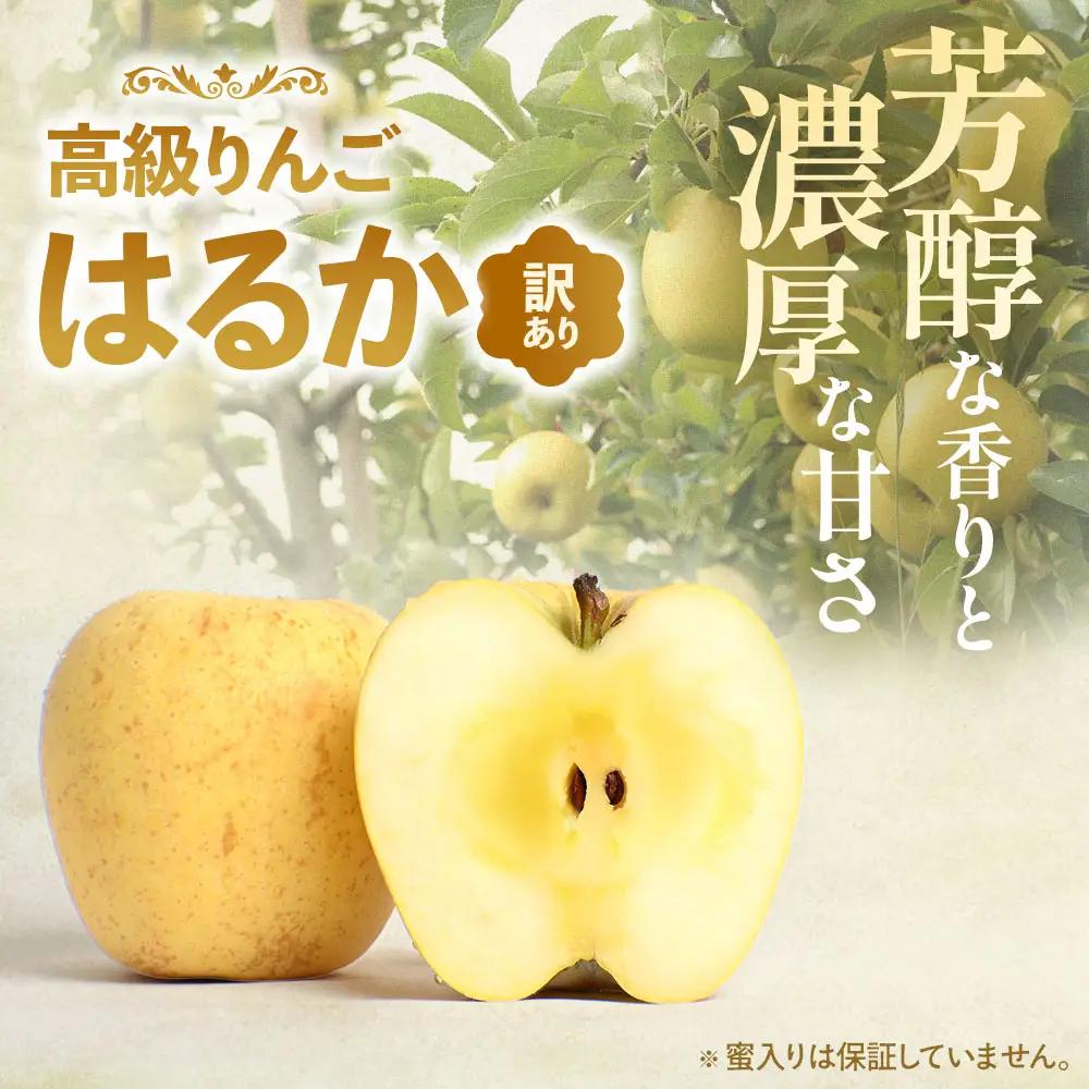 【ふるなびWEEK対象】【訳あり】 青森県産りんご はるか 約5kg 12月上旬～ りんご