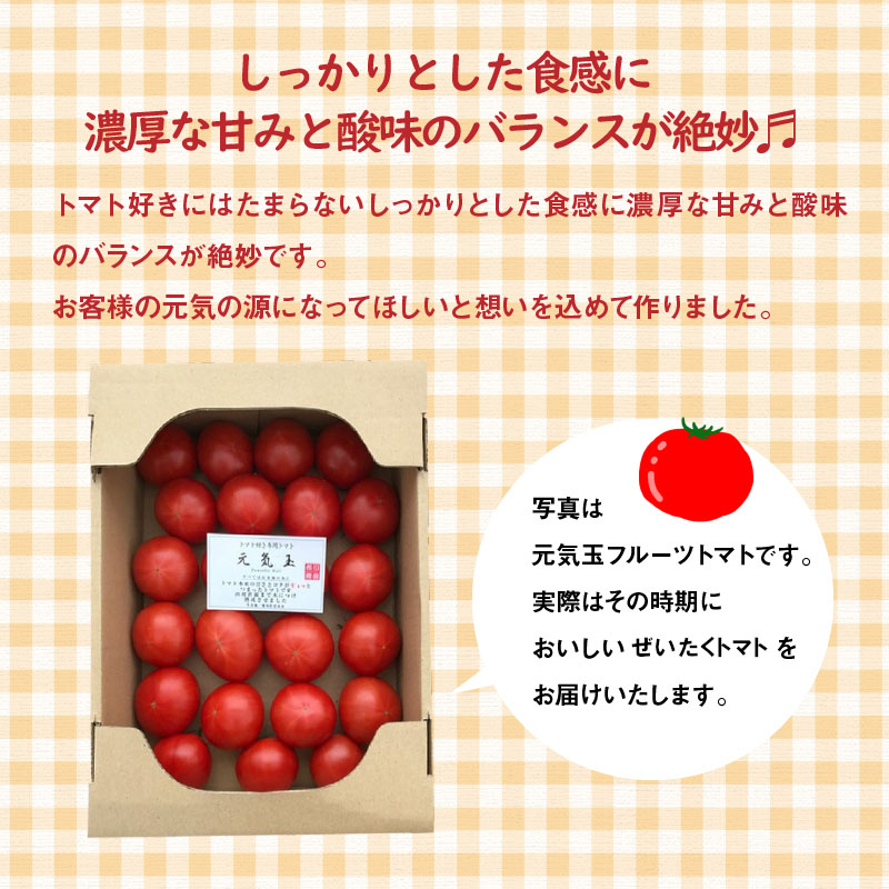 【2026年度予約分】【お試し】期間限定！プレミアムフルーツトマト 野菜ソムリエサミット 金賞 受賞 長田農園 産地直送 トマト とまと 野菜 やさい フルーツ サラダ 濃厚 甘い ご褒美 プレゼント 美容 健康 リピート多数 人気 高評価 先行受付 数量限定 碧南市　H004-145