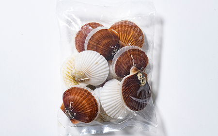 【訳あり】北海道・噴火湾産冷凍ベビーボイルほたて（サイズ不選別品）1kg（500g×2）＋噴火湾産ホタテ稚貝500gセット 噴火湾 ホタテ ベビーホタテ ほたて 帆立 mr1-1053