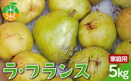【令和7年産先行受付】山形県産高糖度「ラ・フランス」5kg 家庭用(訳あり) 玉数おまかせ らふらんす 果物 くだもの フルーツ 中山町 訳あり 自宅用 F4A-0953
