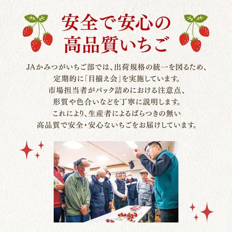 【先行予約】いちご 270g 4パック (2月発送) | いちご 苺 ※2027年2月～発送