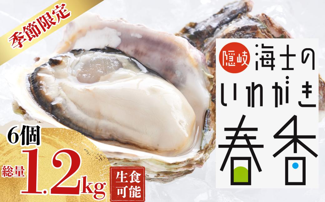 
                  【肉厚！】いわがき春香 6個｜1.2kg 手のひらサイズの極上岩牡蠣（生食可）2026年4月～5月お届け｜ 海鮮 海産物 海の幸 シーフード 魚貝類 牡蠣 岩牡蠣 かき ブランド牡蠣 いわがき春香 生食 海士町
                