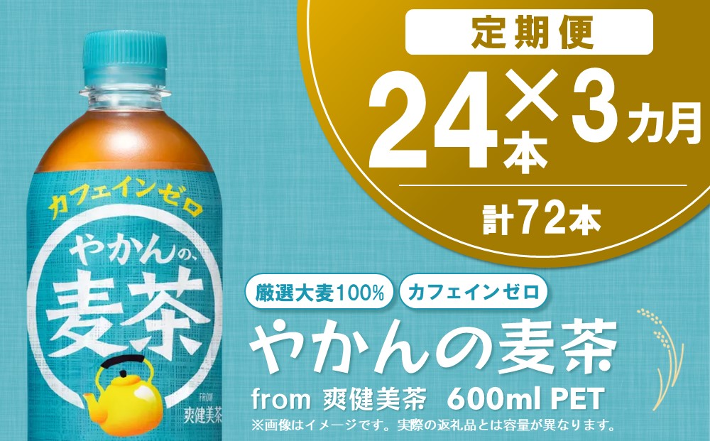 【3か月定期便】やかんの麦茶 from 爽健美茶 600mlPET(24本)【麦茶 焙煎 夏バテ予防 熱中症対策 カフェインゼロ ミネラル 600ml ペットボトル ペット 常備 備蓄 スッキリ イベント】B2-J090383