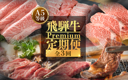 【 定期便 】 A5 飛騨牛 プレミアム 3回 計1.5kg 飛騨牛 [S609]