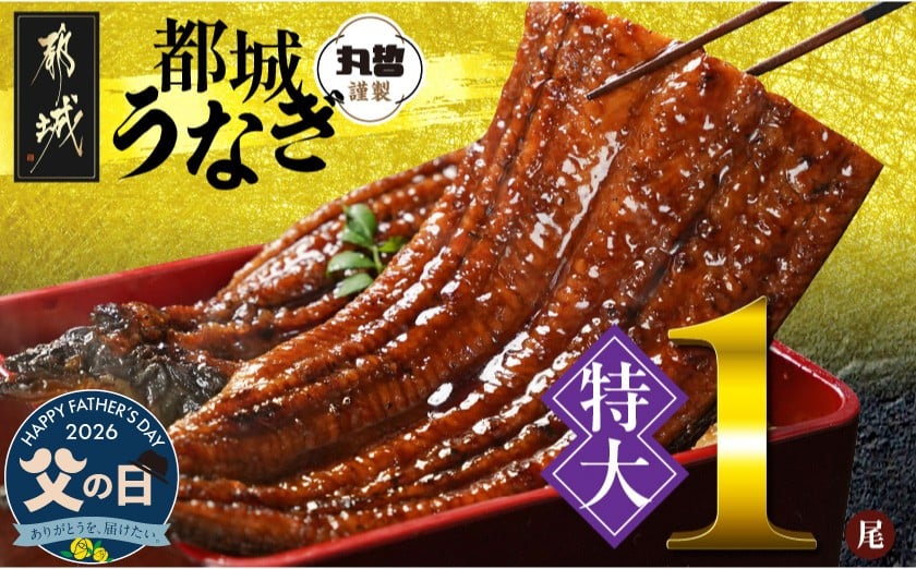 
                  【父の日】宮崎県育ちの【特大】うなぎ蒲焼1尾210g以上≪山椒・たれ付≫≪6月18日～21日お届け≫_11-M301-FG_(都城市) 特大うなぎ蒲焼(有頭) 宮崎県産 真空 山椒・たれ付 父の日 ギフト
                