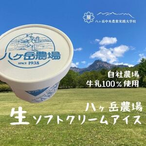 八ヶ岳農場 生ソフトクリームアイス 18個【配送不可地域：離島】【1600537】