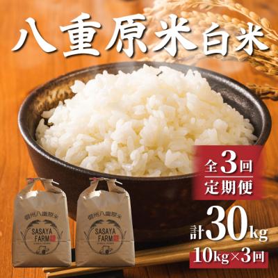 ふるさと納税 東御市 令和7年新米受付【3回定期便】八重原米10kg(5kg×2)白米※2025年10月以降発送|笹屋農園