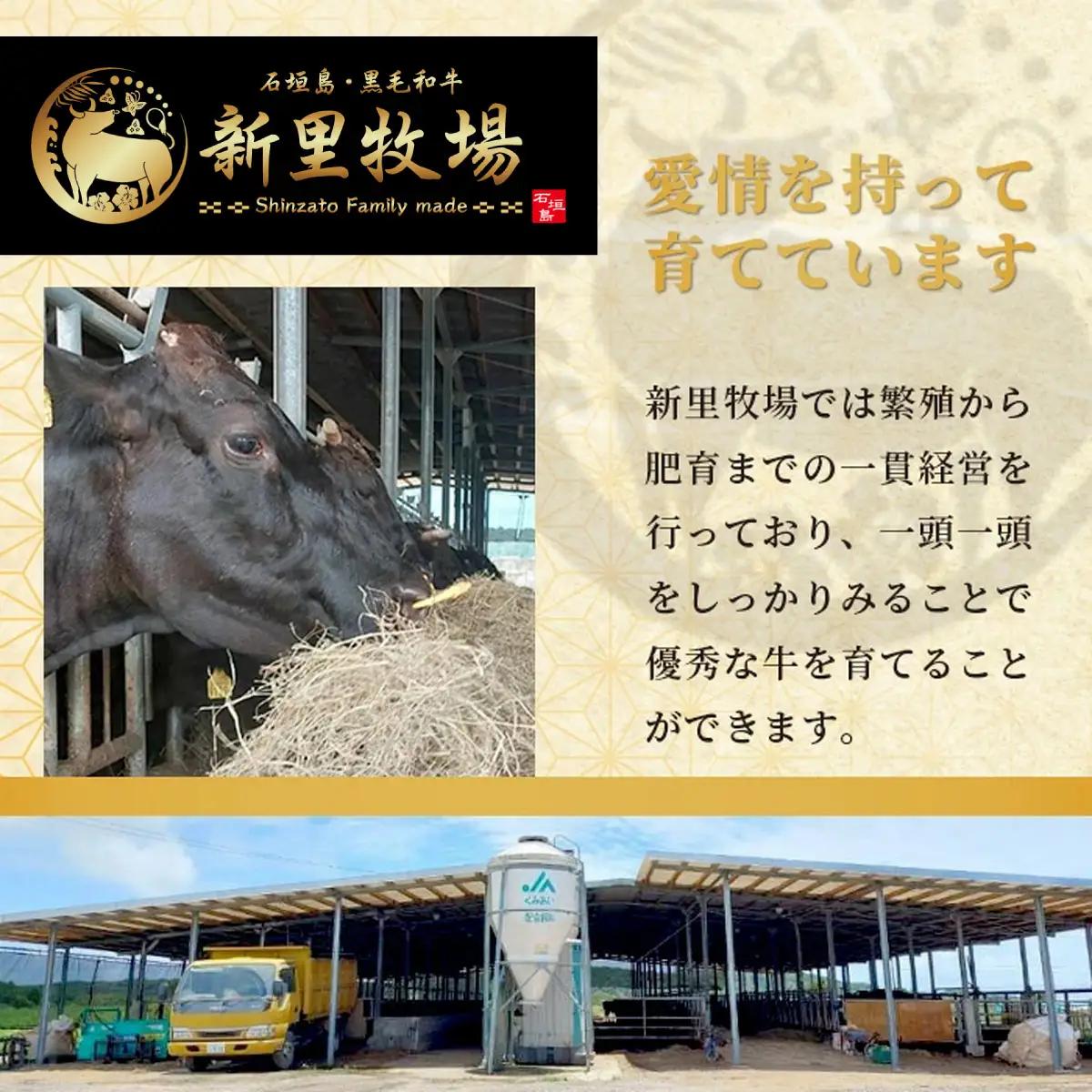 石垣島産 黒毛和牛 新里牛 多用途抜群！ 切落し (500g×1) 500g SZ-13