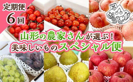 【定期便6回】山形の農家さんが選ぶ！美味しいものスペシャル便【令和8年産先行予約】FS25-107