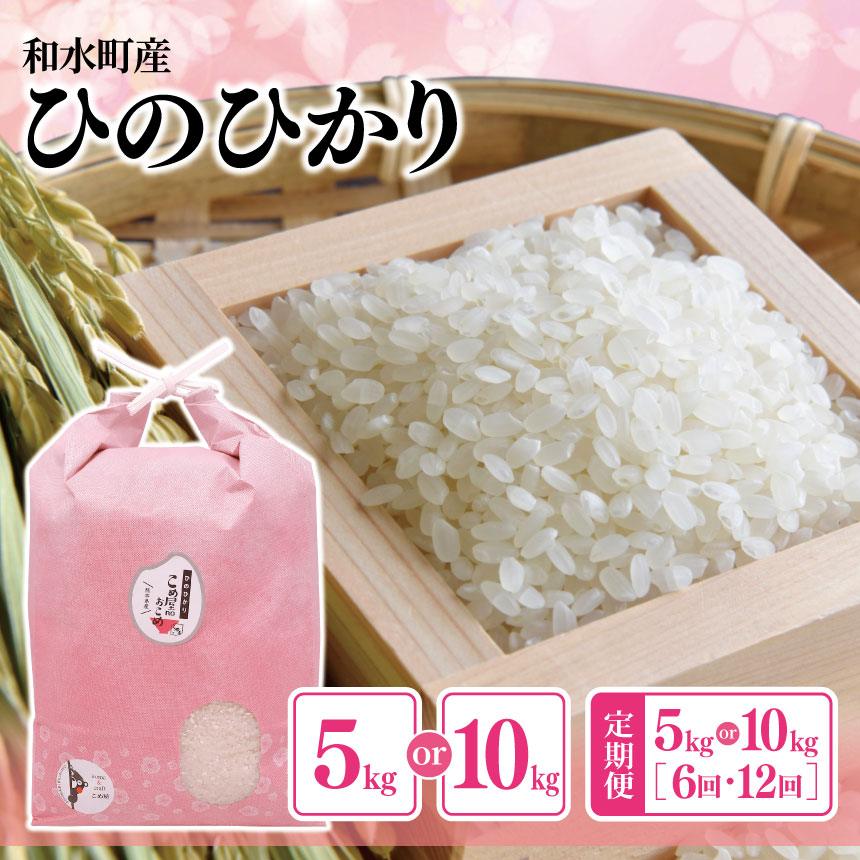 【ふるさと納税】熊本県産「ひのひかり」5kg or 10kg 米 ひのひかり 国産 熊本県 和水町