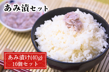 あみ漬 10個セット 海産 海鮮 魚介 内野海産《45日以内に出荷予定(土日祝除く)》