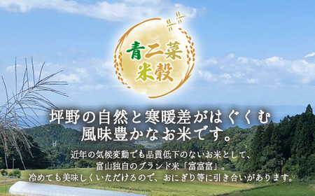 山の湧き水 寒暖差 山里 山里の米･坪野米R6年産富富富10kg（5kg×2） ※北海道・沖縄・離島への配送不可