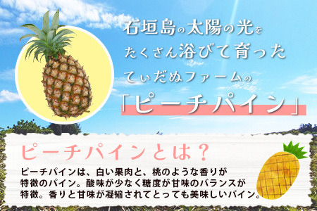 石垣島産 ピーチパイン 2～3玉セット 約2㎏【 産地直送 石垣島産 石垣 完熟 パイン パイナップル 】TD-4