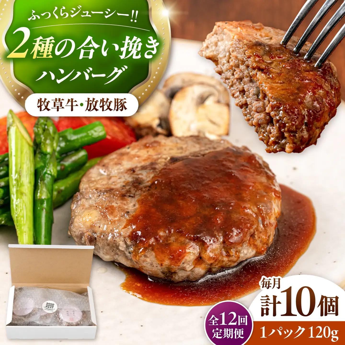【全12回定期便】【牧草牛×放牧豚】ハンバーグ 10個 牛肉 豚肉 小分け 冷凍 北海道 [AXBP041]