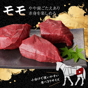 《福岡肥育》国産馬刺したれ付き【モモ】100g×5【冷凍】 176-040
