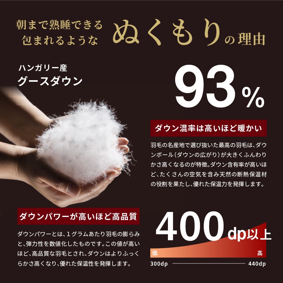 羽毛布団 夏用肌布団 ハンガリー産グース93％（クイーン）【創業100年】羽毛肌掛けふとん 掛け布団 クイーン