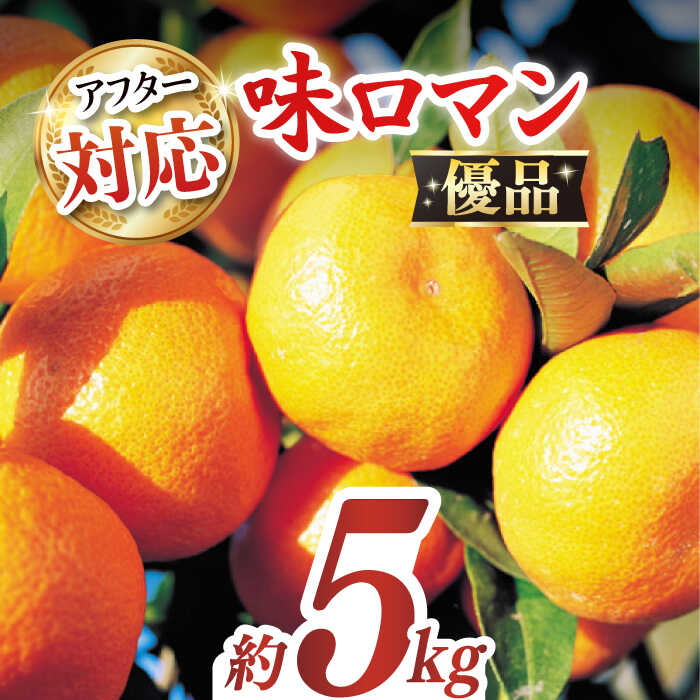 【ふるさと納税】【優品】味ロマン 約5kg （約50〜60個）ー2025年11月下旬より発送ー長与町/長崎西彼農業協同組合 長与支店 [EAH005] みかん ミカン