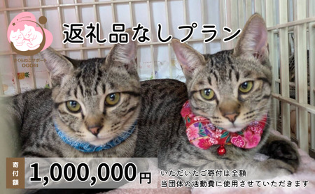 保護猫活動応援 返礼品なし お礼状送付 保護猫活動応援【1,000,000円】