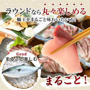 テレビで紹介ぶりの王様「 鰤王 」 まるごと 1本 （約3.5kg～） ラウンド 先行予約 産地直送 長島町 特産品 ブランド 鰤 冷蔵 ふるさと納税 ぶり 刺身 ぶりしゃぶ ぶり大根 海鮮丼【JFA