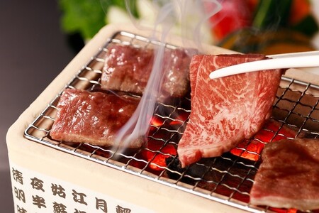 奥出雲和牛赤身焼肉用450g ×４【定期便対応】しまね和牛 黒毛和牛 贈答用 冷蔵 チルド 日時指定Ｄ-13