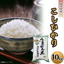 【ふるさと納税】こしひかり 白米 10kg J06 こしひかり 10kg うまかん米 JAおやま 栃木県産