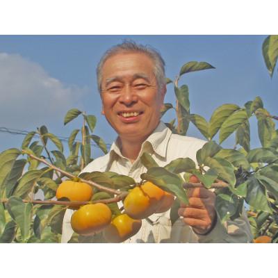 ふるさと納税 かつらぎ町 あんぽ柿 干し柿用平核無柿生渋柿 約1.5〜2kg 約6〜12個【10月中旬〜11月上旬発送予定】 |  | 02