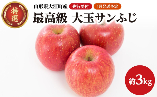 《先行受付》【2027年1月発送予定】 最高級 特選大玉サンふじ約3kg　【大江町産・山形りんご・大地農産】【028-027】