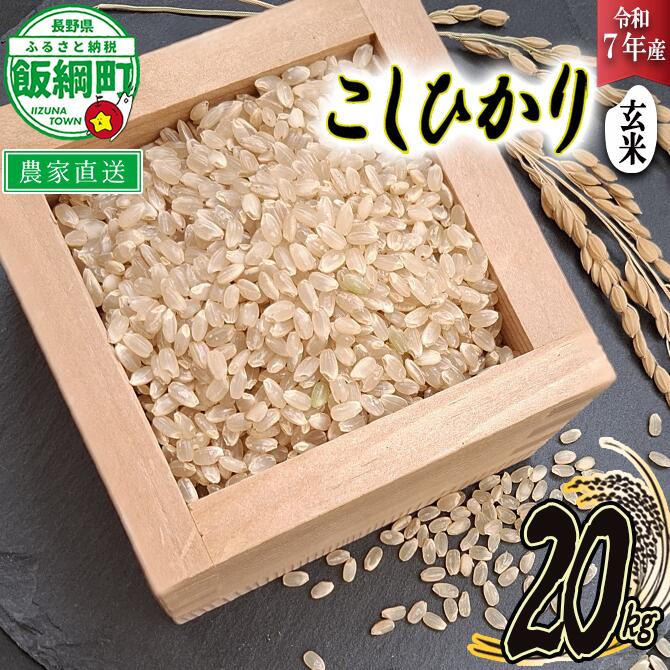 【ふるさと納税】 玄米 こしひかり 20kg ( 令和7年産 ) 寺島農園 長野県 飯綱町 【 米 コシヒカリ 新米 白米 精米 お米 信州 予約 農家直送 】発送時期：2025年10月上旬〜