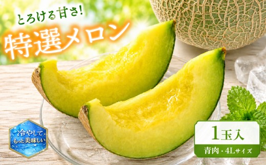 特選 メロン 青肉 1玉 4L 数量限定 果実 新鮮 くだもの めろん 品種おまかせ 青肉 ミラノ春Ⅱ 青肉メロン 品種 おまかせ フルーツ 果物 期間限定 フルーツ 季節限定 果物 産地直送 旬 果物 滋賀県 竜王町 ギフト 贈り物 プレゼント 送料無料 竜王 令和8年 甘い あまい おいしい メロン めろん 2026年