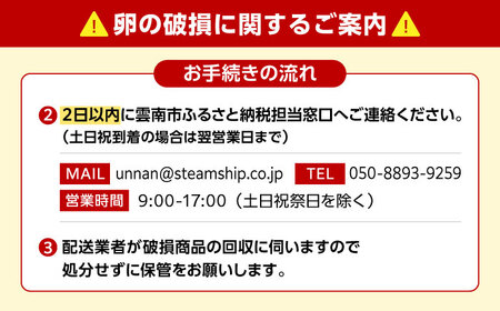 【6回定期便】彩り天佑卵 10個入り[AIDL008] 卵