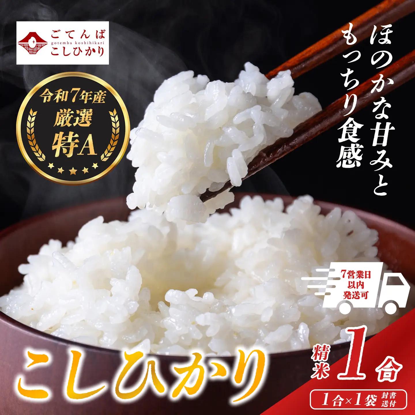コシヒカリ 1合 令和7年産 精米 コシヒカリ