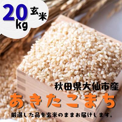 ふるさと納税 大仙市 【令和7年産】 あきたこまち 玄米20kg (5kg×4袋) 秋田県大仙市産