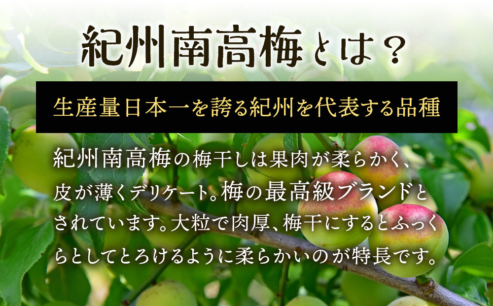 【定期便（2月・6月・10月）全3回お届け】 紀州南高梅使用 しそ仕込み完熟梅干し 無選別1kg ［TM214］