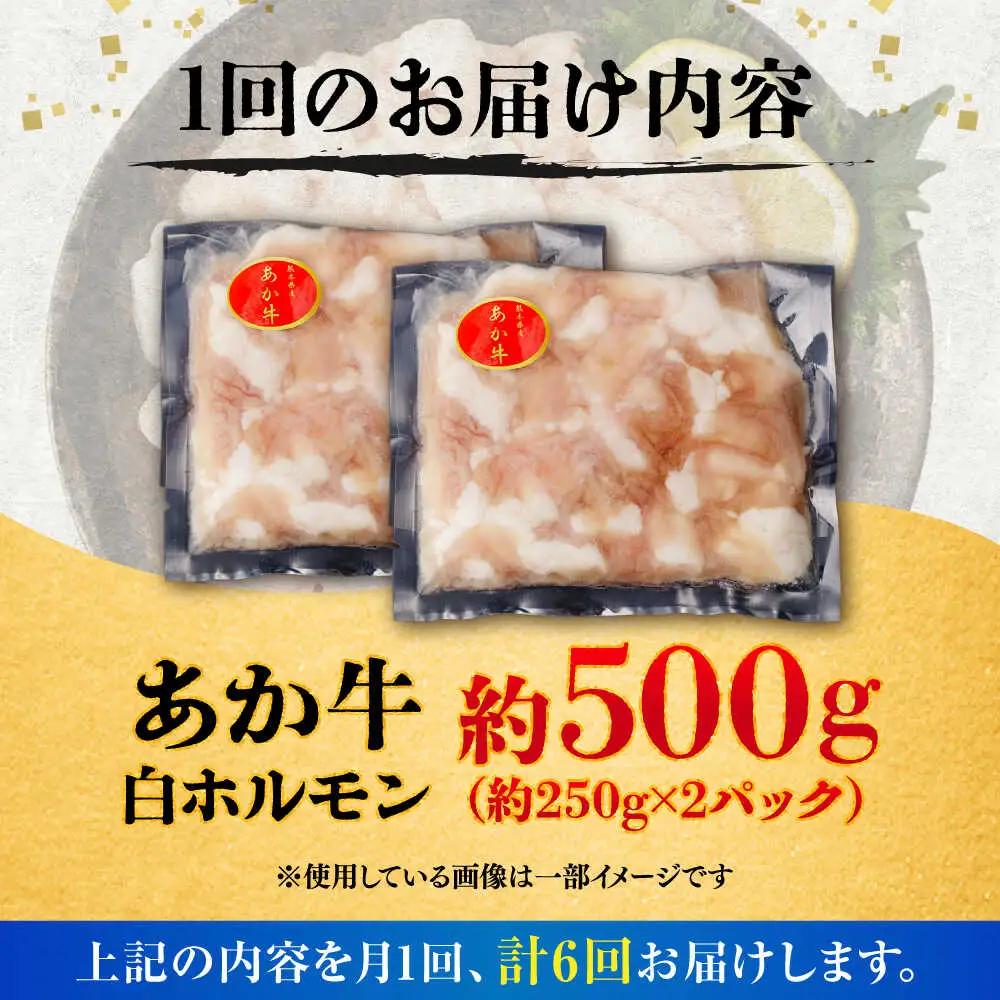 全6回定期便 あか牛白 ホルモン 約500g ホルモン BHCY011