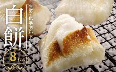 ＼先行予約／ こだわり白餅 8枚入り(4枚2袋)  餅 [Q926nx]