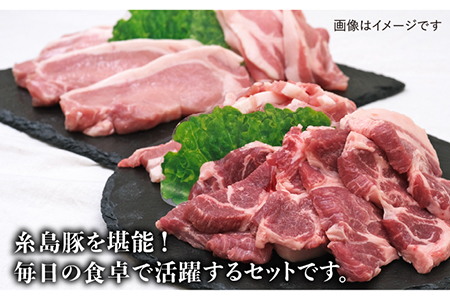 『糸島豚肉セット』糸島市 / JA糸島産直市場 伊都菜彩 [AED003] 豚肉 詰め合わせ セット ブタ ぶた ロース 豚バラ とんかつ 冷凍