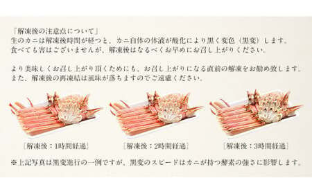 【12月26日～12月31日着(指定日不可)】カット済ズワイ蟹 ハーフポーション 1.2kg（600g × 2箱）[053-b012] 