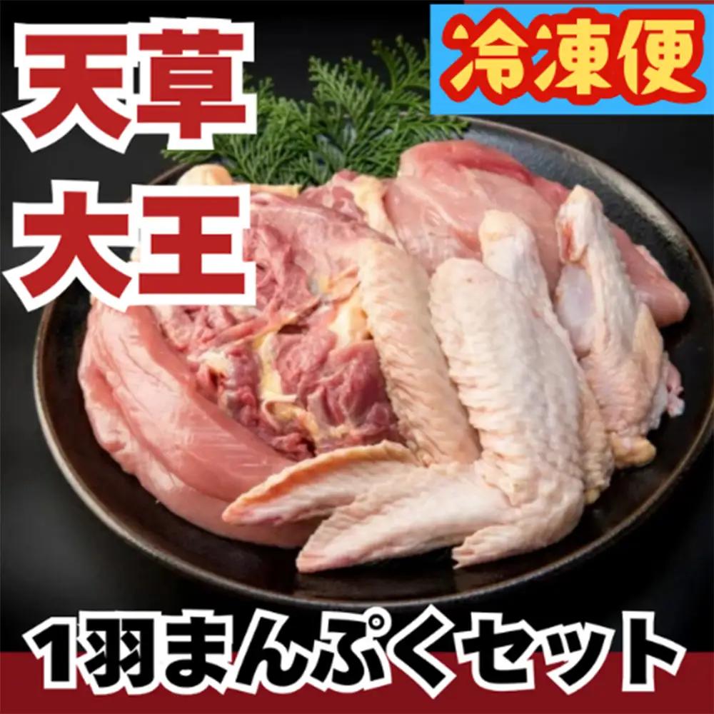 【ふるさと納税】天草大王 1羽まんぷくセット 鶏肉 セット 約1.4kg（ 鶏もも肉 鶏むね肉 ササミ 手羽元 手羽先 ） 希少 幻の地鶏 大容量 小分け 鶏肉 冷凍 送料無料 お取り寄せ グルメ 国産 熊本県 水上村
