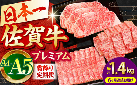 【全6回定期便】佐賀牛 プレミアム霜降り定期 HBH026 焼肉 佐賀牛 国産 和牛 黒毛和牛