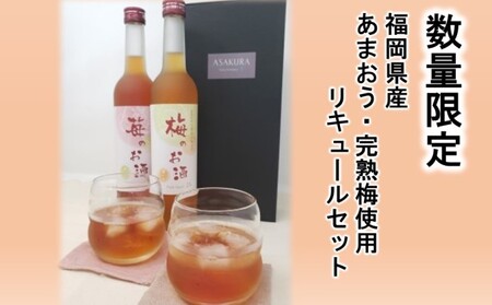 【数量限定】 濃いめのお酒 飲み比べ 500ml×2本セット 濃いめのお酒